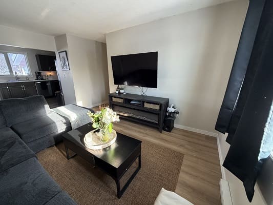 Modern living room with TV and sofa.