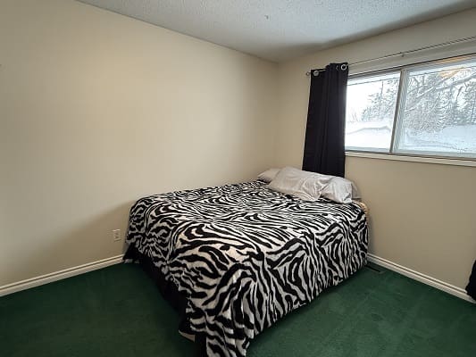 Bedroom with zebra-patterned bedspread and window.