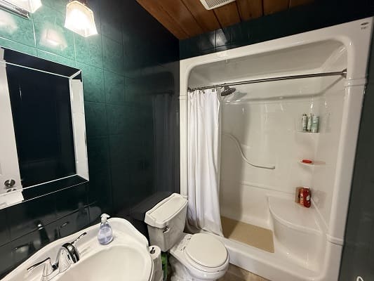 Bathroom with shower, sink, and toilet.