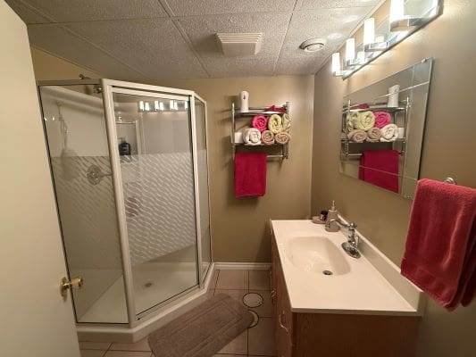 Bathroom with shower, sink, and towels.