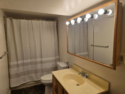 Bathroom with shower, mirror, and lighting.