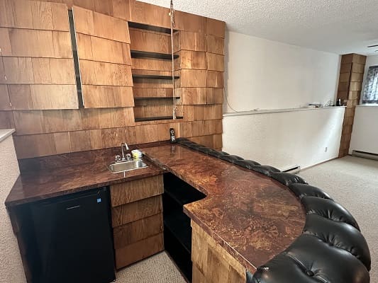 Home bar with wood paneling and counter.
