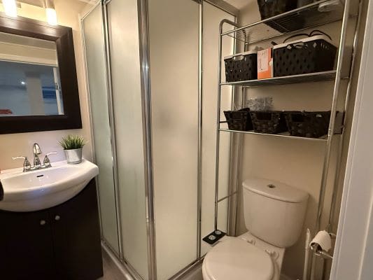 Modern bathroom with shower and shelving unit.