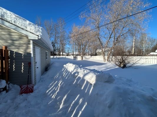 Snowy backyard with trees and shed.