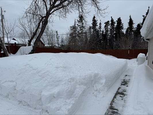 Snow-covered yard with trees and fence.