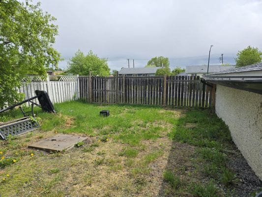 Overgrown backyard with wooden fence and shed.