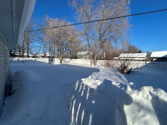 Snowy backyard with trees and blue sky.