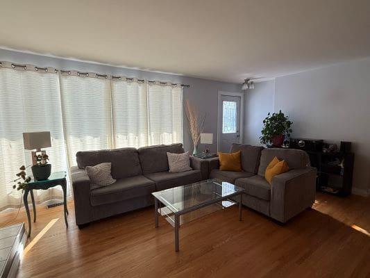Modern living room with gray sofas.