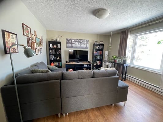 Cozy living room with gray sectional sofa.