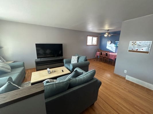 Living room with sofas and television.