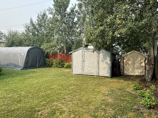 Backyard with sheds and green lawn.