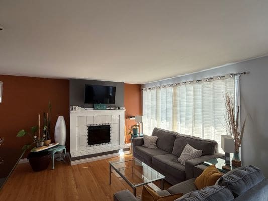 Modern living room with fireplace and sofa.