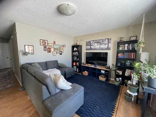 Cozy living room with gray sectional sofa.