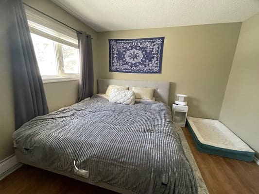 Bedroom with bed, tapestry, and nightstand.