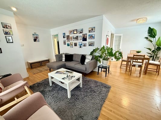 Cozy living room with gray sofa.