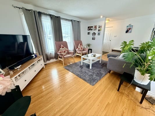 Modern living room with plants and decor.