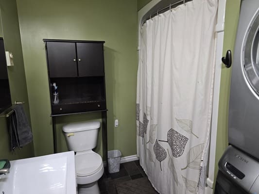 Green bathroom with shower and washer.