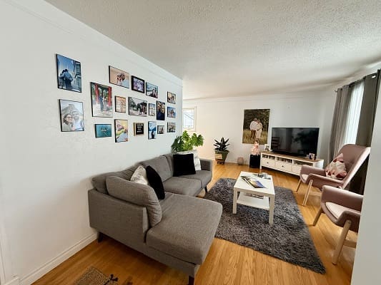 Modern living room with gallery wall decor.
