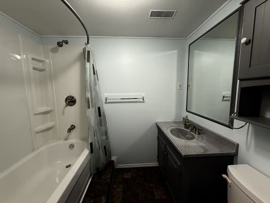 Modern bathroom with bathtub and vanity mirror.