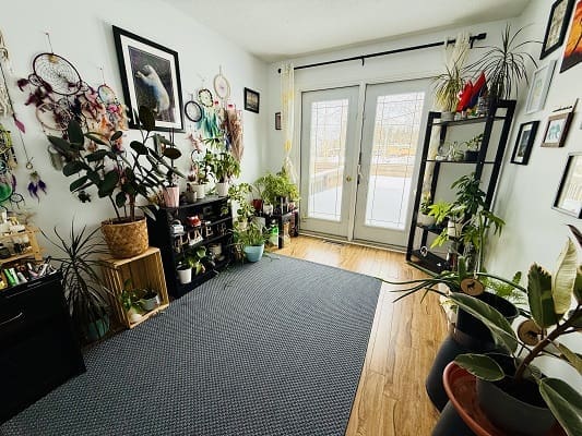 Room with plants and decorative wall hangings.
