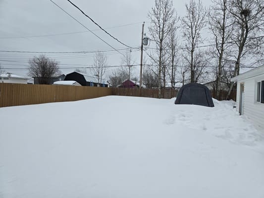 Snowy backyard with trees and a tent.