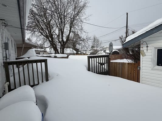 Snow-covered backyard with trees and fences.