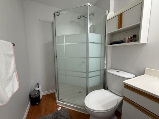 Modern bathroom with glass shower enclosure.