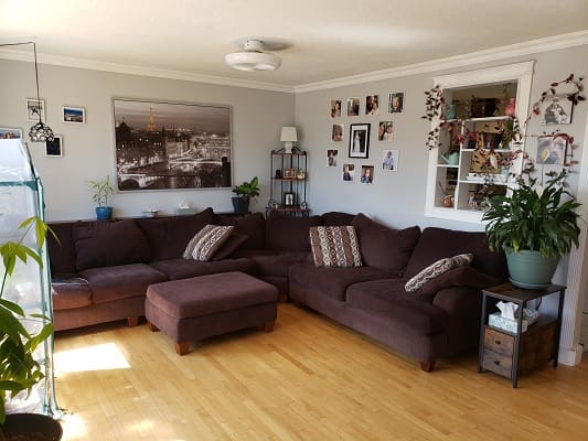Cozy living room with brown sectional sofa.