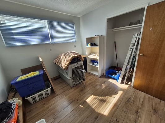 Organized room with boxes and storage shelves.