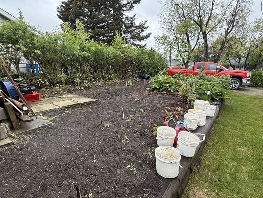 Garden with tools and red truck nearby.